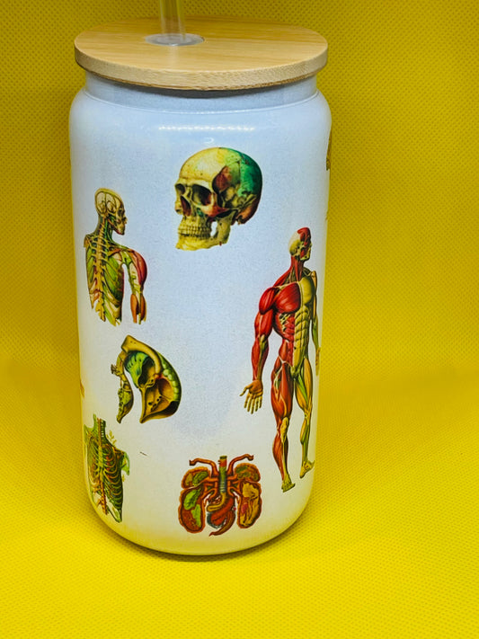 The Anatomy Cup