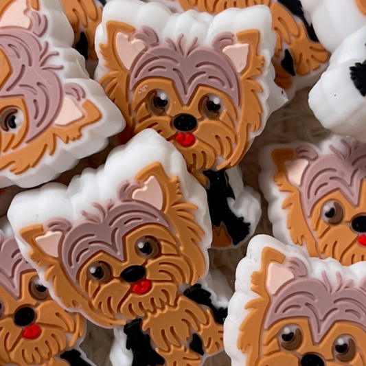 Dog Yorkie