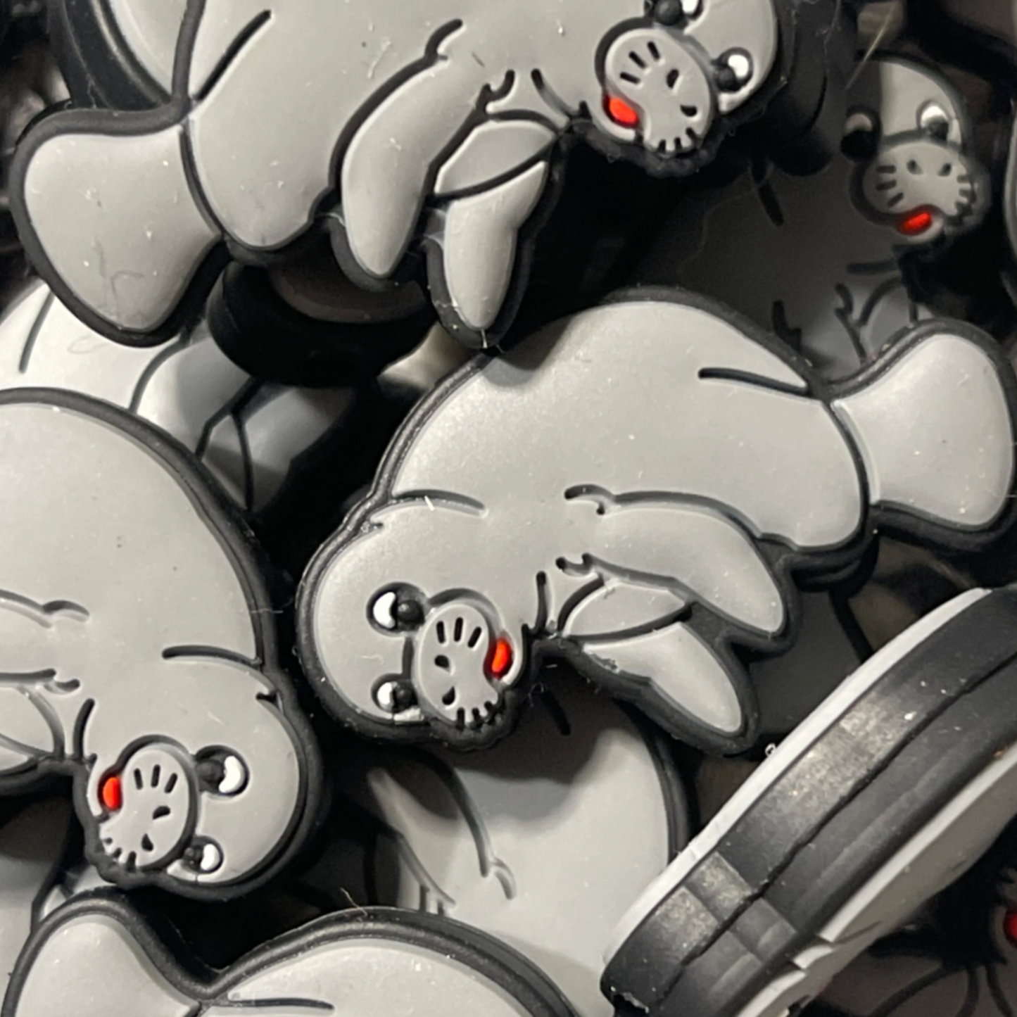 Walrus